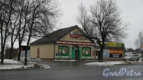 Красное Село, проспект Ленина, дом 19. Магазин «Двери от производителя». Фото 23 января 2017 года.