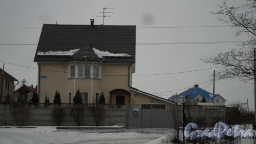 Красное Село, проспект Ленина, дом 15, корпус 1. Фото 23 января 2017 года.