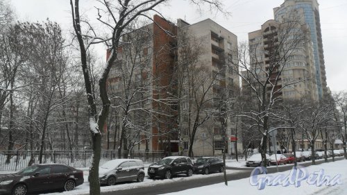 Проспект Ветеранов, дом 50. 9-этажный жилой дом серии 1-528кп40 1968 года постройки. 1 парадная, 45 квартир. Фото 21 февраля 2017 года.