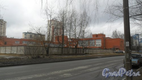 Проспект Сизова, дом 17. Колледж «ПетроСтройСервис», 393-40-66, сайт collegepss.ru. Фото 15 марта 2017 года.
