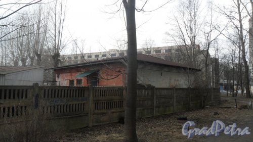 Светлановский проспект, дом 3, литер Б. Хозяйственная постройка. Фото 22 марта 2017 года.