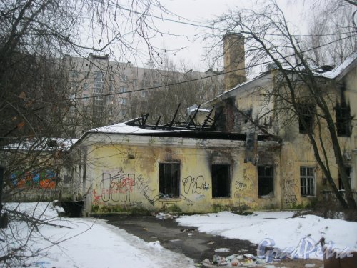 пр. Ветеранов, дом 141, корпус 2. Фрагмент заброшенного дома. Вид с Добрушской ул. Фото 19 января 2017 года.
