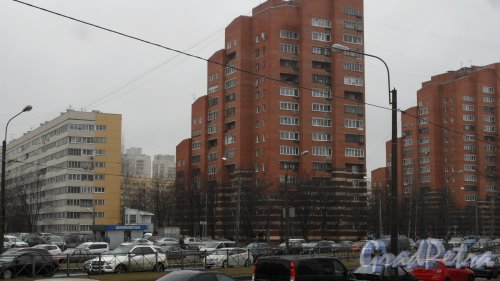 Коломяжский проспект, дом 32 / аллея Котельникова, дом 2. 16-этажный жилой дом. Фото 21 апреля 2017 года.