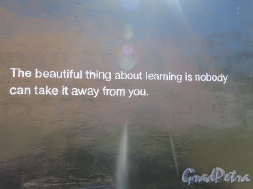Греческий пр., д. 1а.  Текстовое граффити «The beautiful thing about learning is nobody can take it away from you»  («Самое прекрасное в знаниях то, что никто не может их у тебя отнять») Би Би Кинг. На трансформаторной. фото май 2015 г.