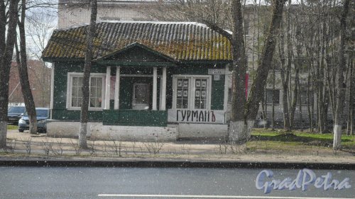 Красное Село, проспект Ленина, дом 83. Продуктовый магазин «Гурман». Фото 11 мая 2017 года.