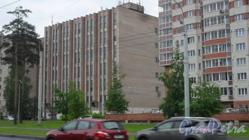 Светлановский проспект, дом 45. 6-этажное административное здание. АТС 550-552. Фото 20 июня 2017 года.