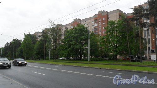 Светлановский проспект, дом 47. 9-этажный жилой дом индивидуального проекта 1977 года постройки. 8 парадных, 288 квартир. Фото 20 мая 2017 года.