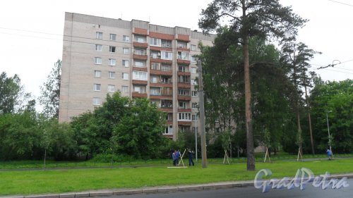 Светлановский проспект, дом 47. Вид дома с улицы Жака Дюкло. Фото 20 июня 2017 года.