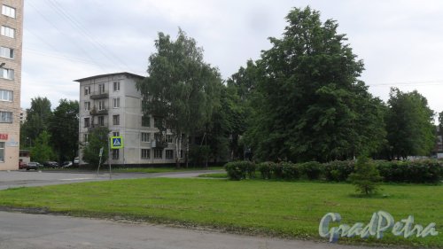 Меншиковский проспект, дом 5, корпус 1. 5-этажный жилой дом серии 1ЛГ-502-В12 1968 года постройки. 12 парадных, 179 квартир. Фото 15 июля 2017 года.