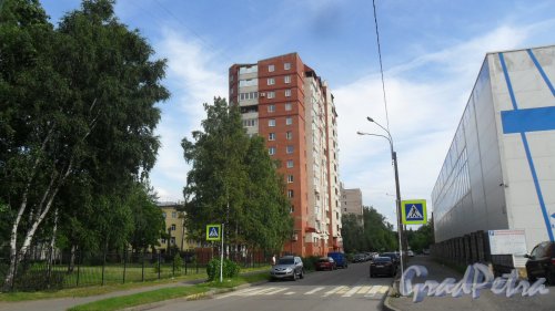 Проспект Раевского, дом 14, корпус 2. 13-этажный жилой дом 2005 года постройки. 1 парадная, 85 квартир. Фото 13 августа 2017 года.