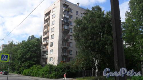 Проспект Раевского, дом 20. 9-этажный жилой дом серии 1-528кп40 1965 года постройки. 1 парадная, 45 квартир. Фото 13 августа 2017 года.