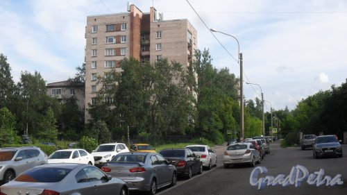 Проспект Раевского, дом 12. 9-этажный жилой дом серии 1-528кп40 1965 года постройки. 1 парадная, 45 квартир. Фото 13 августа 2017 года.