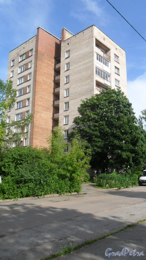 Проспект Раевского, дом 8. Вид дома со стороны Ольгинского пруда. Фото 13 августа 2017 года.