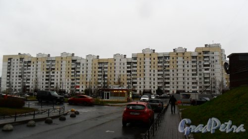 Комендантский проспект, дом 50, корпус 1. Общий вид дома со стороны жилого комплекса «Юбилейный квартал». Фото 16 ноября 2017 года.