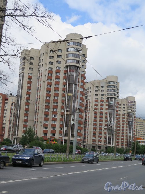 Кондратьевский пр., дом 62, корпуса 1 и 2. Многоэтажные жилые дома, постройки 2000-2010 гг. фото июль 2015 г.