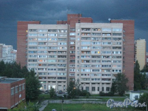 Ленинский пр., дом 97 корпус 3. Общий вид из окна дома 43, корпус 1. Фото 19 августа 2017 г.