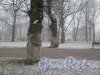 Пр. Ленина (Выборг). Парк-эспланада. Газоны в снегу. фото 10 мая 2017 г.