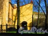Чкаловский проспект, дом 11, литера Б. Общий вид дворового флигеля. Фото 1 мая 2016 года.
