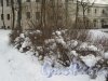 Сад Аничкова дворца. Одна из аллей зимой. фото февраль 2018 г.