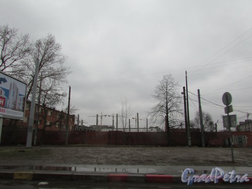 Вид на строительство жилого комплекса «Стрижи в Невском» на территории завода «Трубосталь» со стороны улицы Седова. Фото 16 февраля 2020 г.