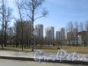 Дунайский проспект, дом 14, корпус 1. Вид на жилой комплекс «Viva» со стороны Московского шоссе. Фото 7 апреля 2020 г.