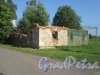 Дворцовый пр. (Ломоносов), д. 35б. Разрушенное жилое здание. Общий вид. фото июль 2018 г.
