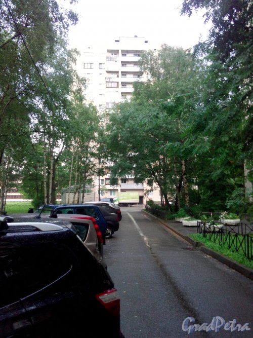 Витебский проспект, дом 29, корпус 1. Вид дома со стороны парадных второго корпуса. Фото 3 августа 2020 года.