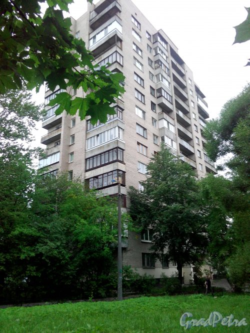 Проспект Космонавтов, дом 24. 14-этажный жилой дом серии 1-528кп80Э 1970 года постройки. 1 парадная, 97 квартир. Фото 3 августа 2020 года.