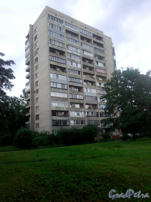 Витебский проспект, дом 25. 14-этажный жилой дом серии 1-528кпЭ 1971 года постройки. 1 парадная, 97 квартир. Фото 4 августа 2020 года.