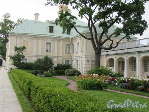  Большой (Меншиковский) дворец. Цветочная клумба у садового фасада со стороны верхнего двора. фото август 2018 г.