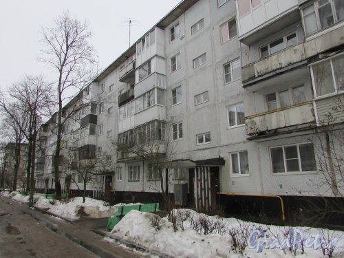 Лен. обл., г. Кириши, пр. Ленина, дом 24. Фасад жилого дома со стороны парадных. Фото 24 февраля 2024 года.