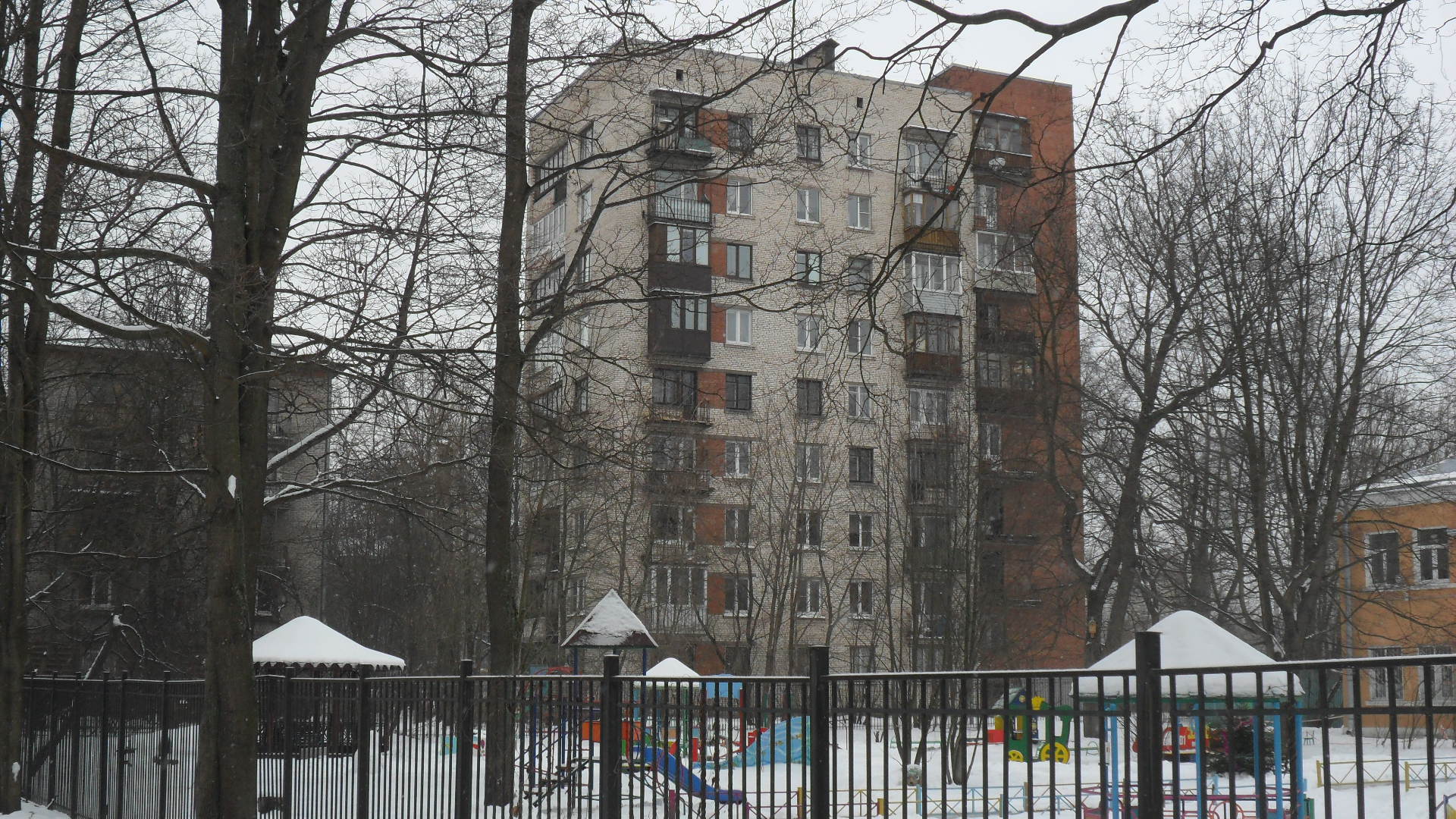 муринский проспект санкт петербург