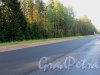 Укладка нового слоя асфальта на шоссе «Скандинавия». Участок от города Выборга до МАПП «Торфяновка». Фото 19 июля 2014 года.