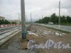 Петергофское шоссе недалеко от пр. Кузнецова. Замена трамвайных рельсов. Фото 8 июля 2016 г.