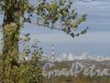 Петербургское шоссе (Шушары). Вид Застройки Петербурга со стороны шоссе. фото октябрь 2015 г.