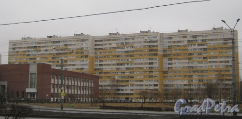 Петергофское шоссе, дом 21, корпус 3. Вид из Южно-Приморского парка. Фото февраль 2014 г.