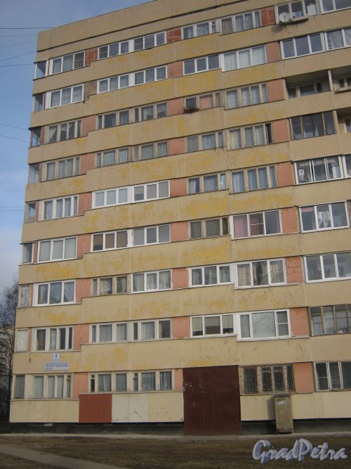 Петергофское шоссе, дом 5, корпус 1. Фрагмент здания со стороны фасада. Фото март 2014 г.
