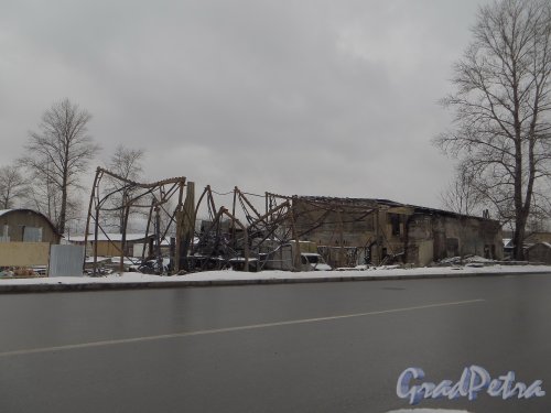 Глухоозерское шоссе, дом 9. Общий вид участка после пожара. Фото 19 марта 2014 года.