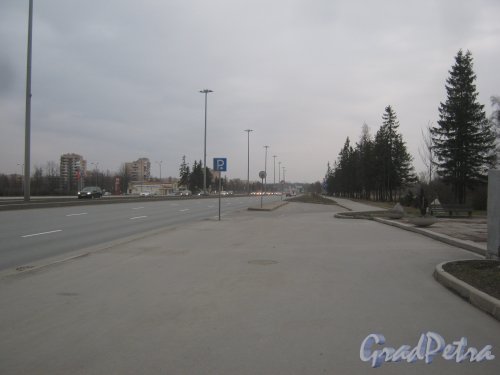 г. Пушкин, Петербургское шоссе в районе Кузьминского кладбища. Пешеходная часть. Фото 2 марта 2014 г.