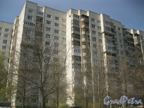 Пулковское шоссе, дом 13, корпус 1. Фрагмент фасада здания. Фото 28 апреля 2014 г.