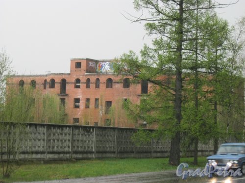 г. Пушкин, Красносельское шоссе в районе дома 14. Одно из недостроенных зданий. Общий вид. Фото 5 мая 2014 г.