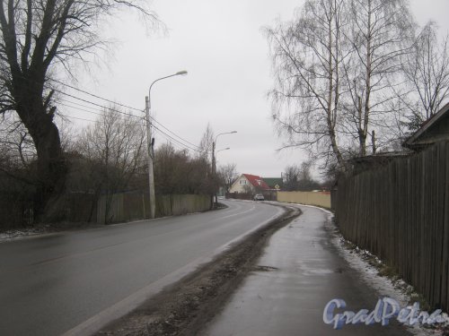 Красное Село (Горелово), Аннинское шоссе. Вид от пересечения с ул. Коммунаров в сторону Таллинского шоссе. Фото 4 января 2014 г.