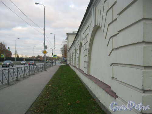 Посёлок Стрельна, Санкт-Петербургское шоссе, дом 66. Фрагмент стены дома. Фото 17 октября 2014 г.