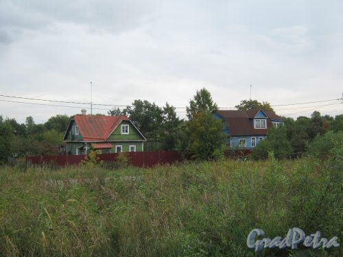 Старо-Паново, Таллинское шоссе, дома 110 (справа) и 108 (слева). Общий вид. Фото 9 сентября 2013 г.