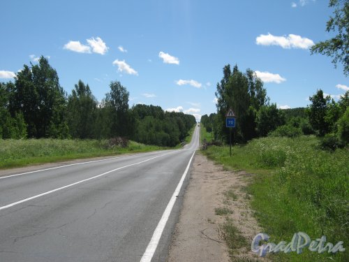 Лен. обл., Ломоносовский р-н, шоссе А-120 недалеко от моста через р. Чёрная. Фото 28 июня 2012 г.