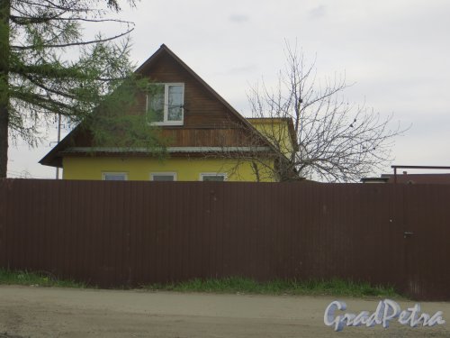 Горелово, Аннинское шоссе, дом 14, литера А. Общий вид. Фото 5 мая 2015 г.