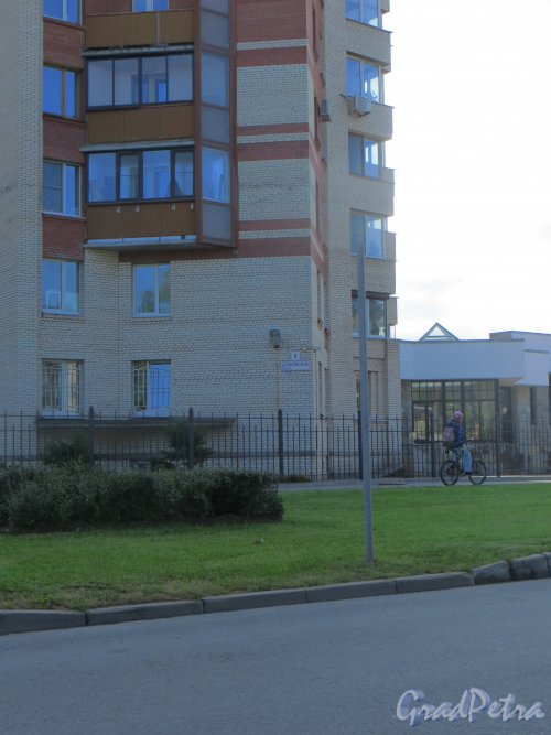 г. Сестрорецк, Дубковское шоссе, дом 9. Фрагмент фасада с номером здания. Фото 27 июля 2015 года.