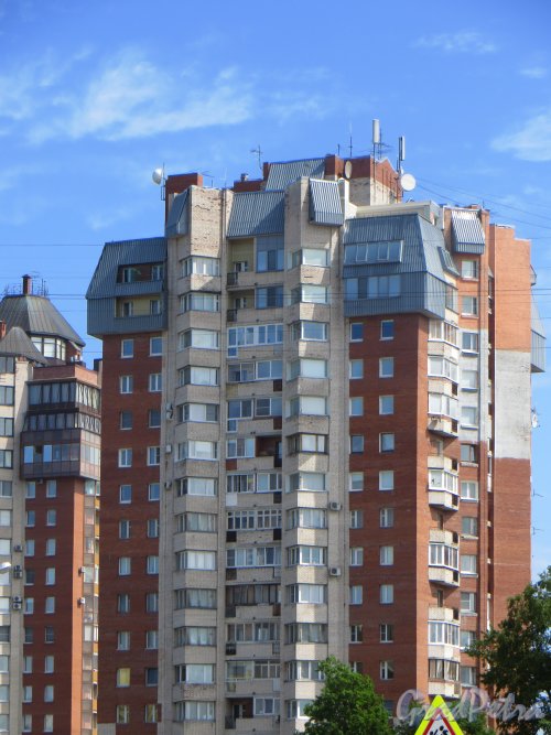 г. Сестрорецк, Дубковское шоссе, дом 11. Вид верхних этажей. Фото 27 июля 2015 года.