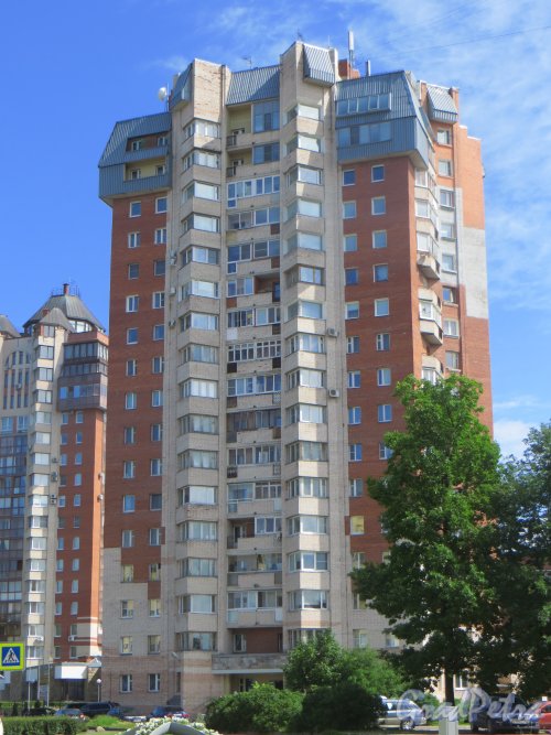 г. Сестрорецк, Дубковское шоссе, дом 11. Общий вид здания. Фото 27 июля 2015 года.