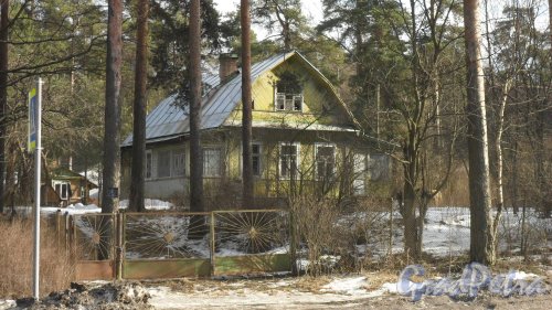 Лен. область, Всеволожский р-н, г. Всеволожск, Колтушское шоссе, дом 221. Фото 11 марта 2016 года.